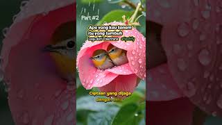 Tuhan mengasihi yang kecil dengan KASIH bukan KUASA #quotes #talentana #shorts