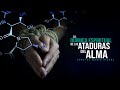 La Quimica Espiritual De Las Ataduras Del Alma.