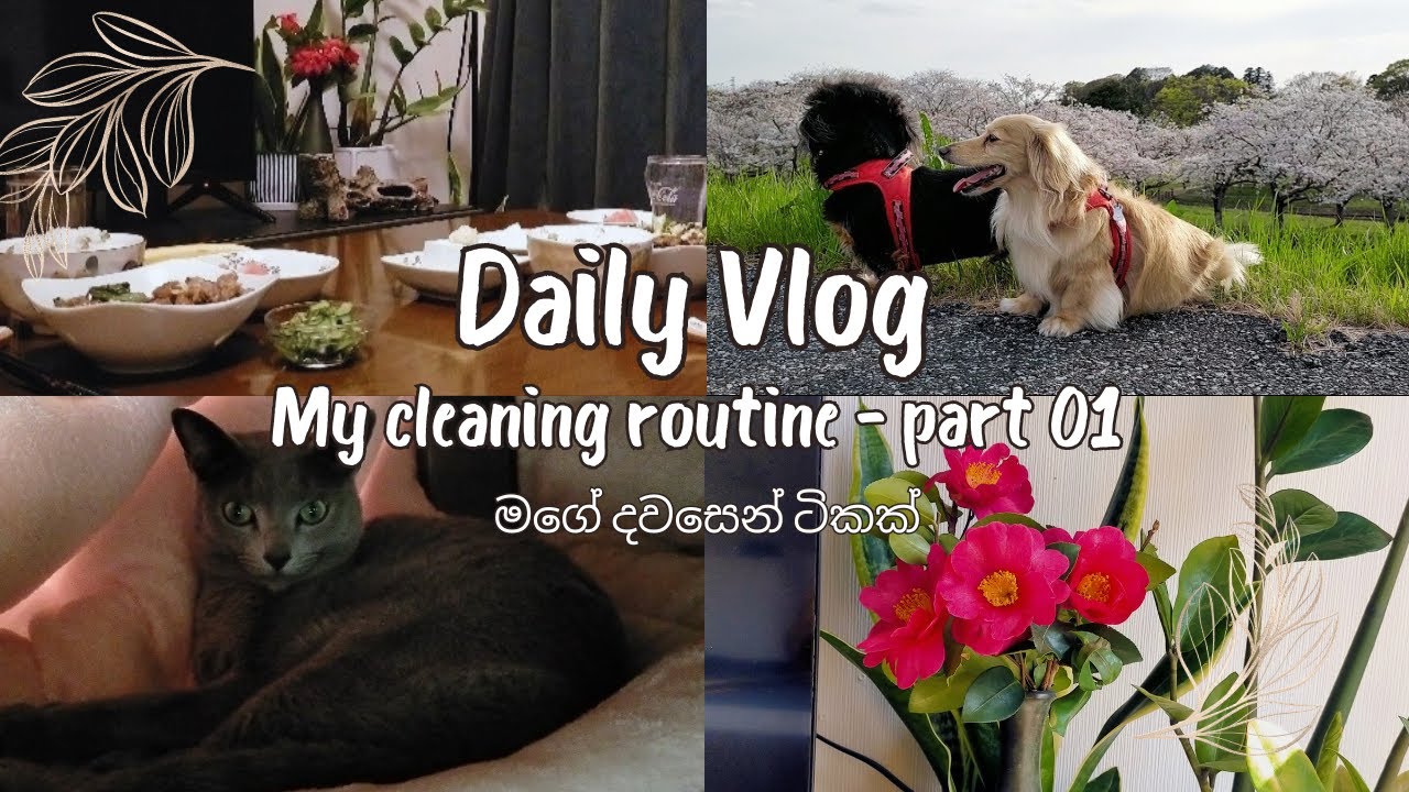 A Day in My Life as a Housewife in Japan|My Cooking & Cleaning routine  - Part 01 - මගේ දවසෙන් ටිකක්