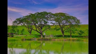阿公店森林公園18 大家都在找解答 旅遊日本住宿評價 阿公店森林公園18 大家都在找解答 旅遊日本住宿評價
