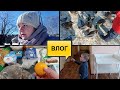 СНИМАЮ УКРАДКОЙ//НЕУТЕШИТЕЛЬНЫЙ ДИАГНОЗ//КОРМИМ УТОК И ГОЛУБЕЙ//ЗАКУПКА ПРОДУКТОВ//НАШ УЖИН//ВЛОГ