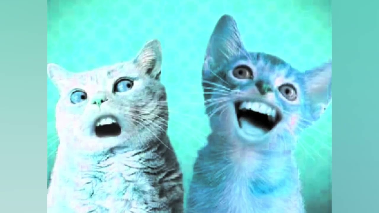 Numa car effects exedend