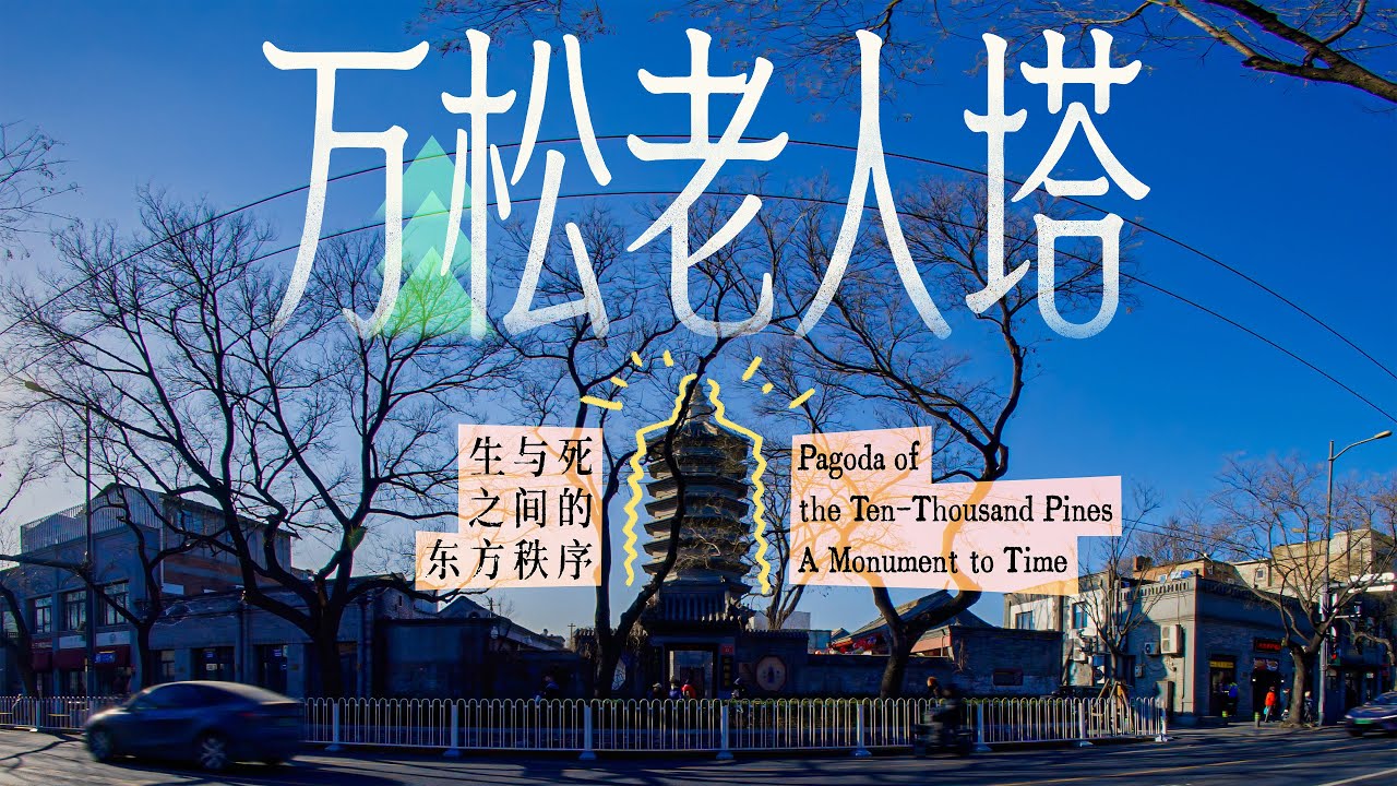 【VR180 3D】万松老人塔 时间的丰碑 Pagoda of the Ten-Thousand Pines A Monument to Time
