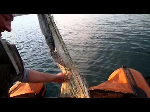 თევზაობა ჩაქვში•tevzaoba chaqvshi