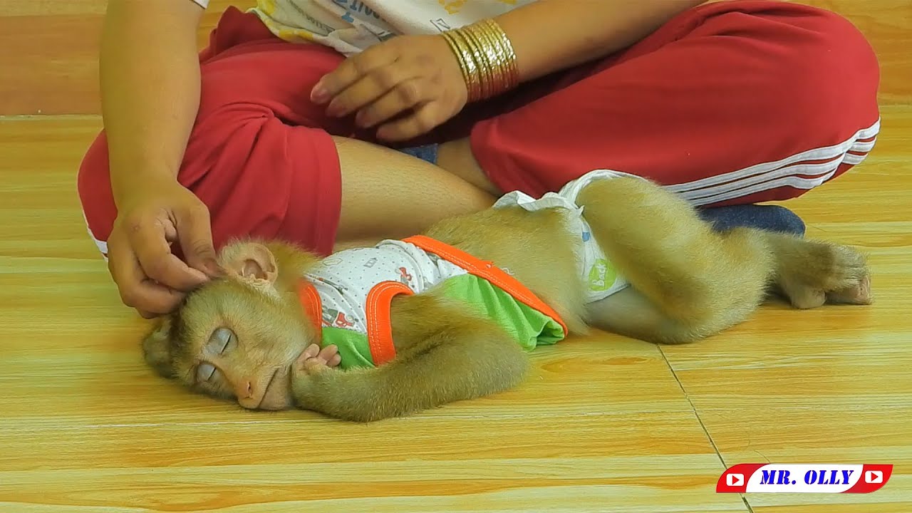 Mr. KAKO Sleeping On The Floor