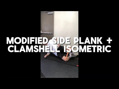 Modified Side Plank + Clamshell Isometric - YouTube