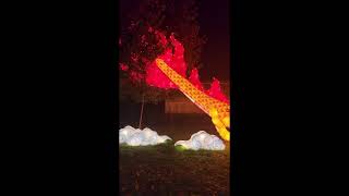 Celebrity Beardsley Zoo Lights - Glow in the dark experience Wealth