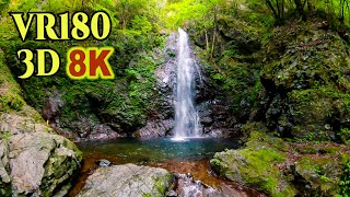 [ 8K 3D VR180 ] 新緑の払沢の滝（東京都 檜原村） Hossawa Falls in Oku-Tama,Tokyo,Japan