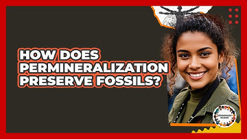How Does Permineralization Preserve Fossils?