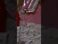 شاور العيد بينزل متاخر عدوها بقا Shortvideo اكسبلور Skincare Everythingshower Eidpreps 
