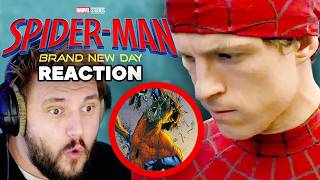 DAS ist NICHT Man-Spider! Aber was dann? I Spider-Man Bra...