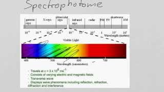Bi308 week 3b spectrophotometry