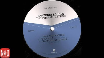 Santonio Echols feat. Mike Anderson - Gratification In My Soul