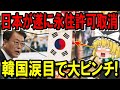 【海外の反応】隣国人の予想的中か?在日韓国人の永住許可の取り消しで、お隣さんが大慌て…海外「保護する必要などは全くない!」【ゆっくり日本の魂】