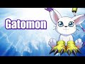 Gatomon Evolution Line