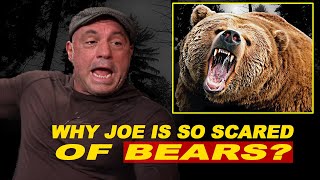 You Can Never Get Enough of Joe RoganTalking About Bears - (Compilation)