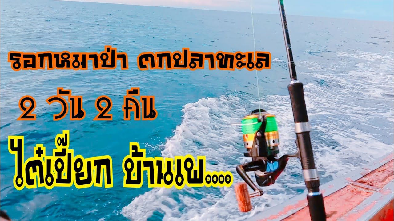 #ไต๋เปี๊ยก