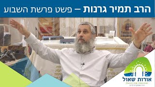 הרב תמיר גרנות | פשט מסעי | ערי הלווים וערי מקלט