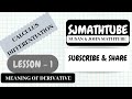 What Exactly Is This Differentiation ( Derivative )?