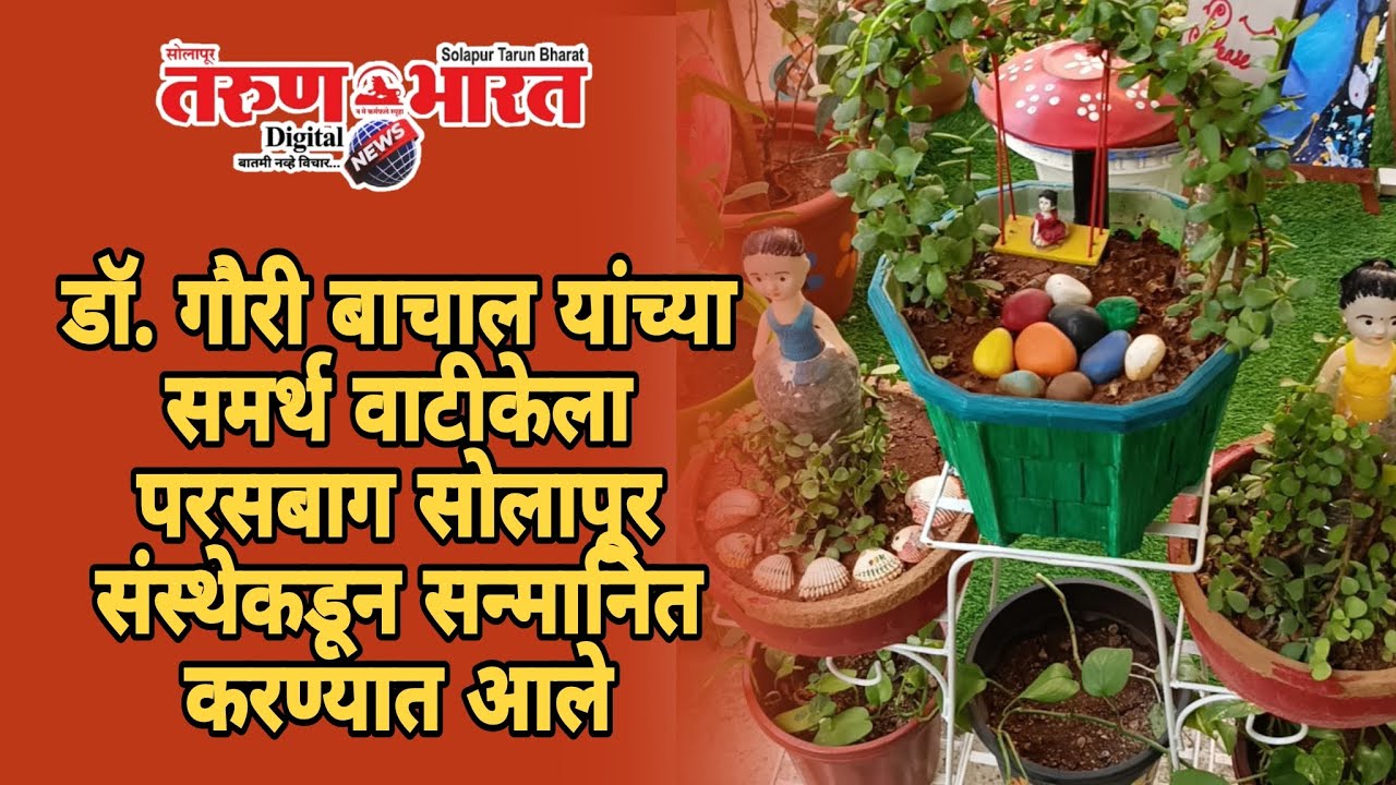 डॉ. गौरी बाचाल यांच्या समर्थ वाटीकेला परसबाग सोलापूर संस्थेकडून सन्मानित करण्यात आले. 