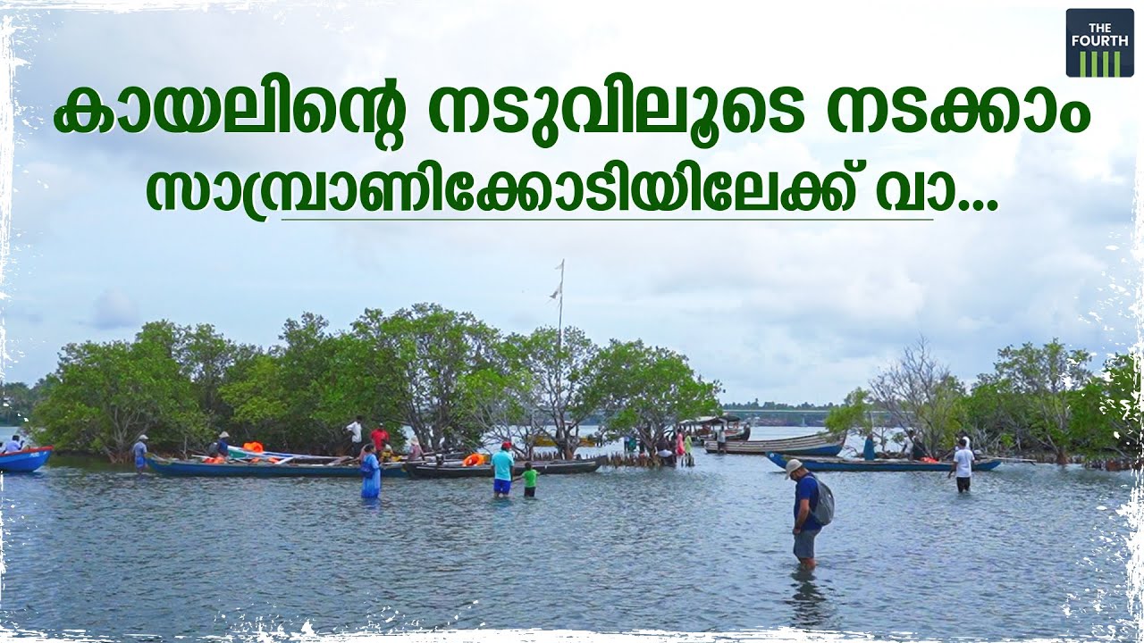 കായലിന്റെ നടുവിലൂടെ നടക്കാം. വരൂ, സാമ്പ്രാണിക്കോടിയിലേക്ക് | Sambranikodi Island | Kollam