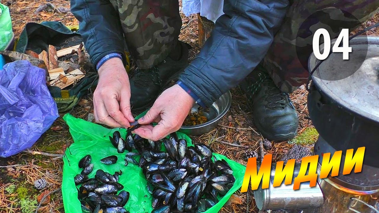 #04 Мидии - Чупинская кругосветка 2025
