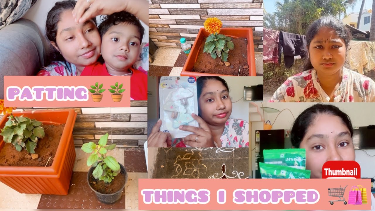potting 🪴|| things i shopped 🛍️🛒|| Daily vlog 