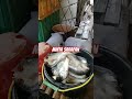 Omen minta sarapan ikan bandeng# ikan bandeng presto#sarapan omen #omen kucing liar#omen kucing lucu