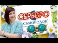 САМОРОДОК🌿от ЛЕДИ САМОЦВЕТ🕊Смотрим Новинки🌿Дарим Подарки🕊Открываем Посылочку🌿Натуральные Камни