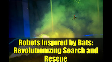 Robots Inspired by Bats: Revolutionizing Search and Rescue