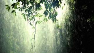 Sonido de la lluvia durante una hora, con truenos - sound of rain for one hour, without thunder