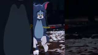 Ama Böyle Olmayı Ben Istemedim Tamam Mı