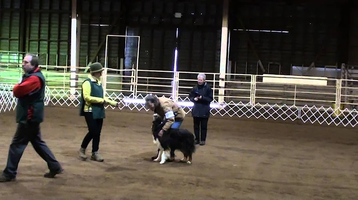 Ryder and Dorene.  Novice B Obedience.  Sherwood D...