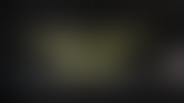 w101 Random Collab 1 :)