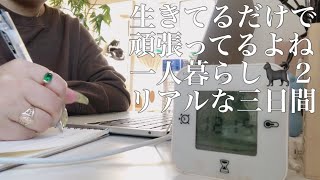 Vlog一人暮らしなんてこんなもん生きてるだけで偉い