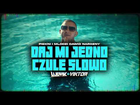 Piękni i Młodzi Dawid Narożny - Daj mi jedno czułe słowo (LUDVIK & VIKTOR REMIX)