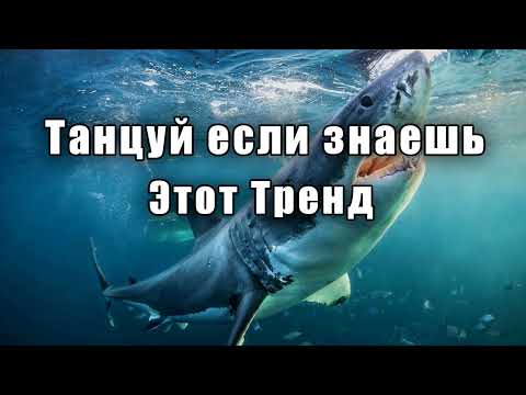 Танцуй Если Знаешь Этот ТрендТренды 2024