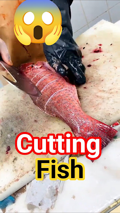cutting fish style #india #short #youtube #viralvideo #share #reels #food #cooking #trending #fish