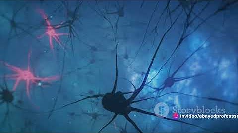 🧠 Unlocking the Mystery of Consciousness with Integrated Information Theory (IIT) 🤔 - Giulio Tononi