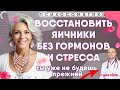 Как восстановить яичники и продлить молодость