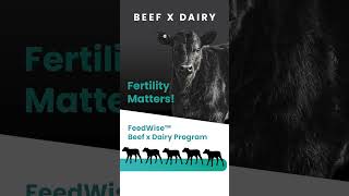 FeedWise Blended Semen Wealth