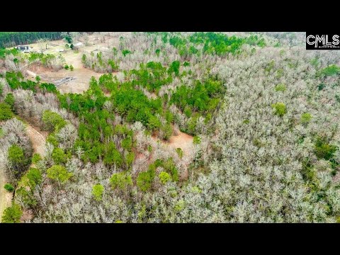 1711 Dry Branch Road, Lugoff, SC home video tour
