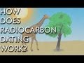 Carbon Dating: Unlocking the Secrets of Fossil Age