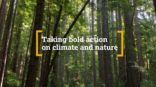 Sustainability At Astrazeneca