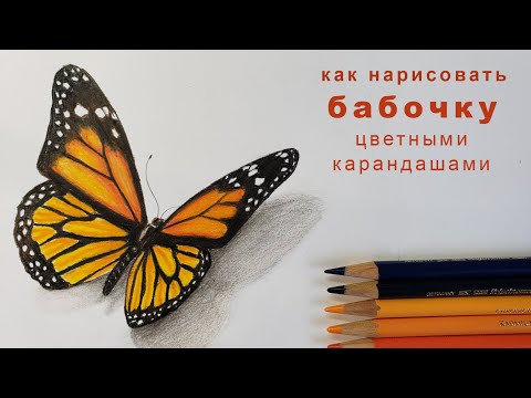 как нарисовать бабочку how to draw a butterfly как нарисовать бабочку цветными карандашами