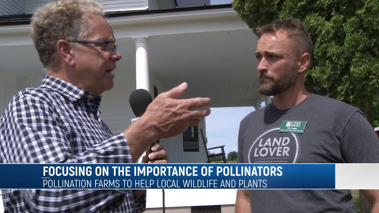 Importance of Pollination - YouTube