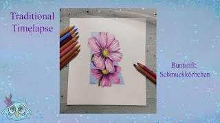 Blumenzeichnung Mit Buntstift Timelapse