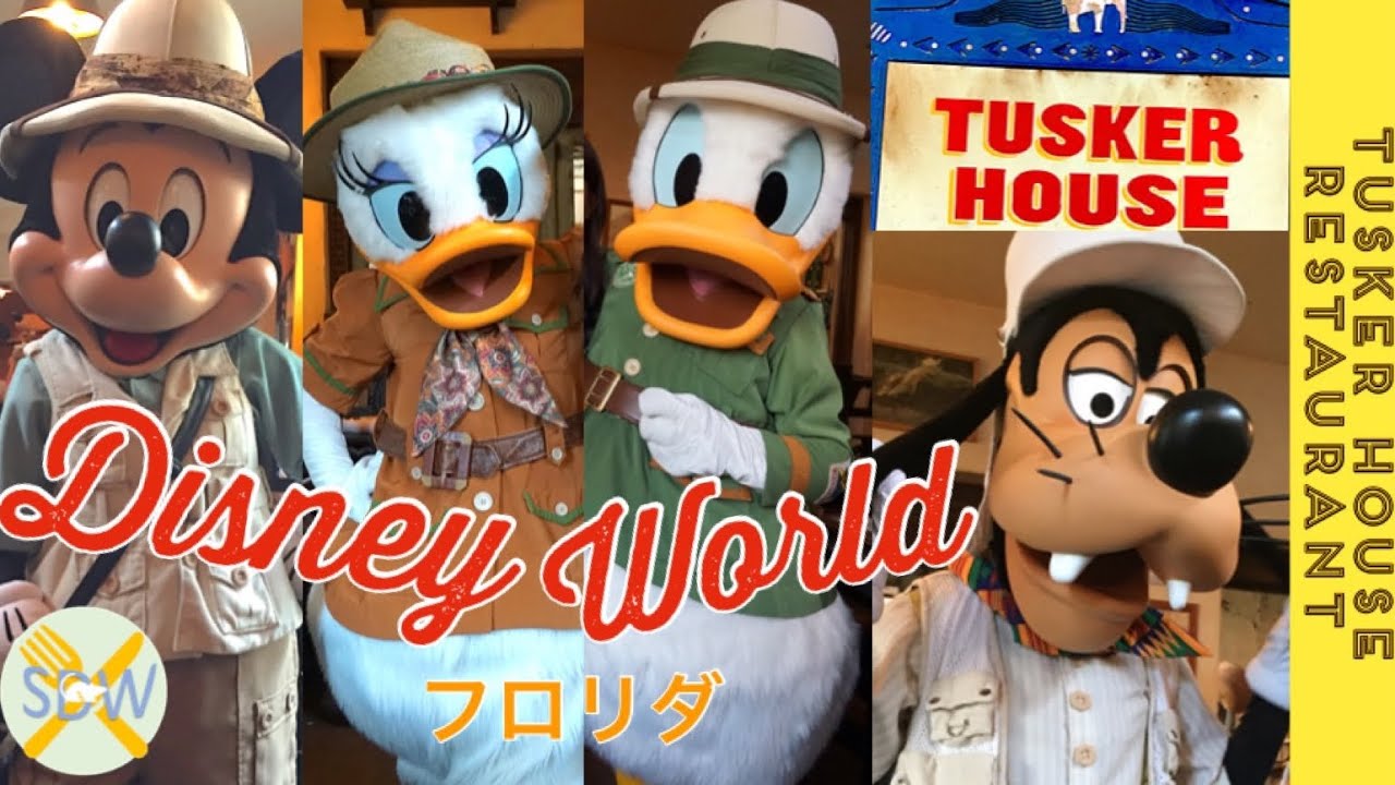 ★超レア★WDW★キャスト限定★アトラスシリーズ8of12★アニマルキングダム★ WDW】サファリルックのキャラダイ❤️アニマルキングダムの幻想的な