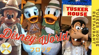 WDW】サファリルックのキャラダイ❤️アニマルキングダムの幻想的な