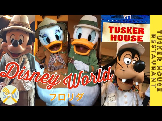 WDW】サファリルックのキャラダイ❤️アニマルキングダムの幻想的な
